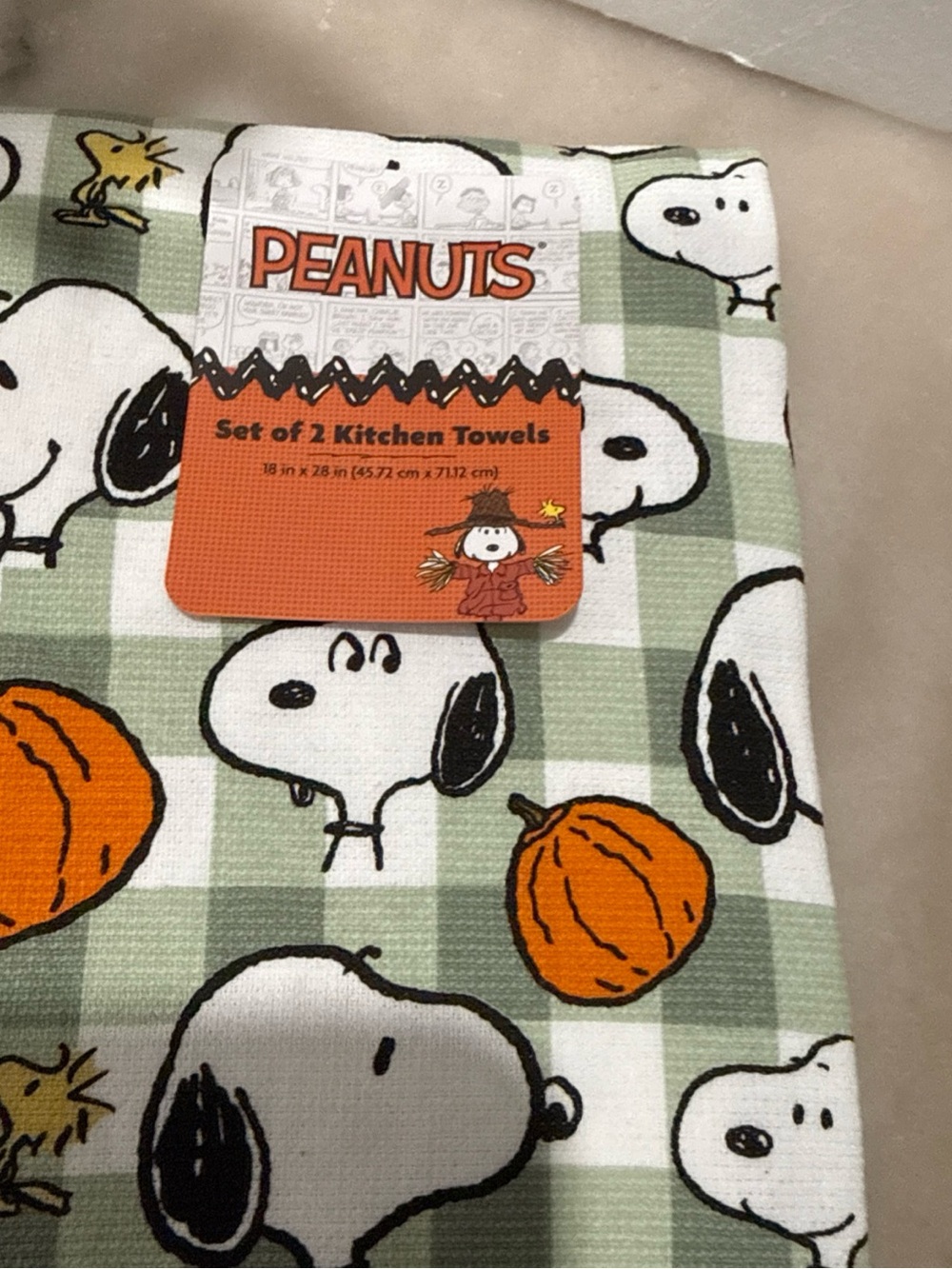Peanuts Snoopy Pumpkin Green / 02 Kitchen Towel Set